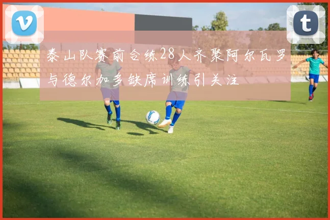 泰山队赛前合练28人齐聚阿尔瓦罗与德尔加多缺席训练引关注