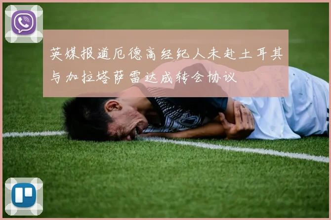 英媒报道厄德高经纪人未赴土耳其与加拉塔萨雷达成转会协议