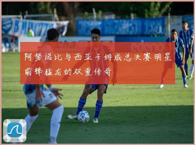 阿努诺比与西亚卡姆成总决赛明星前锋猛龙的双重传奇