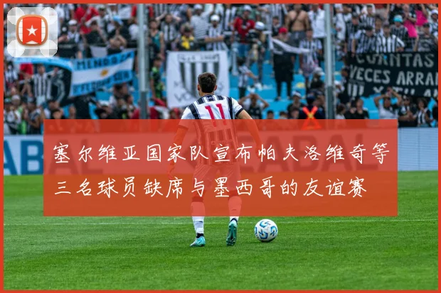 塞尔维亚国家队宣布帕夫洛维奇等三名球员缺席与墨西哥的友谊赛