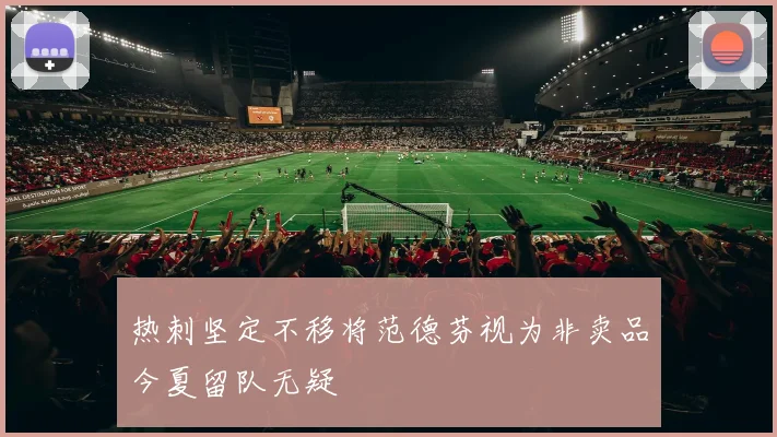 热刺坚定不移将范德芬视为非卖品今夏留队无疑