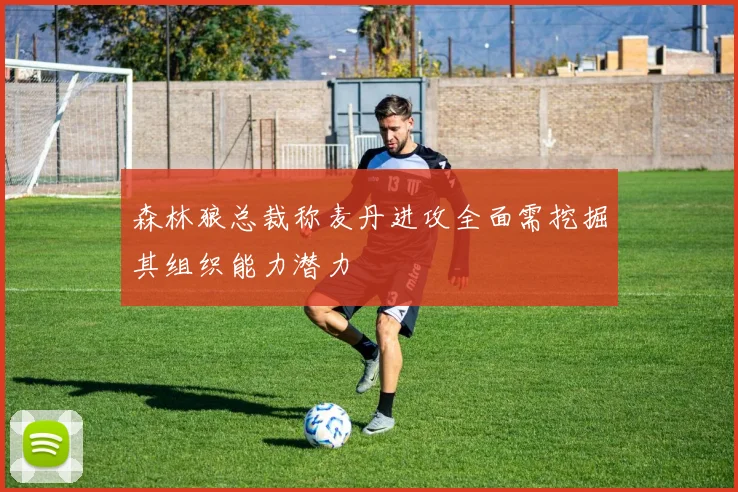 森林狼总裁称麦丹进攻全面需挖掘其组织能力潜力